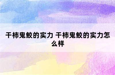 干柿鬼鲛的实力 干柿鬼鲛的实力怎么样